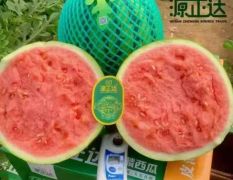 美都，麒麟西瓜直供产地