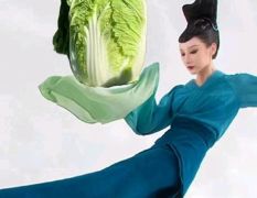 黑山半拉门霍健4月供应白菜火热上市