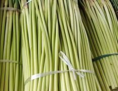 供应/淮阳白帽/红帽蒜薹大量上市