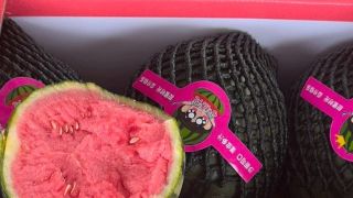 小糖丸西瓜价格