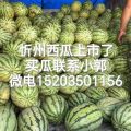忻州西瓜价格