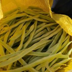 山东成武四季豆产地直供 俏销大江南北