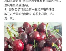 车厘子之乡清溪镇 顶级套袋黑珍珠
