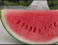 安微省阜阳市头茬大棚精品圆棚美都