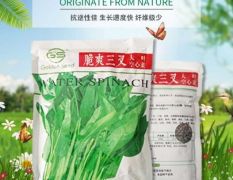脆爽三叉空心菜大叶,茎杆半青白，茎底部有分叉