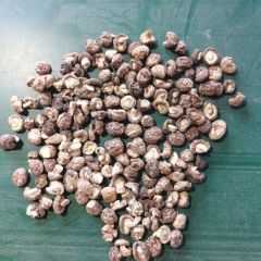 蘑菇香菇品质很好!一手货源。