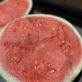宁夏起家做硒砂瓜，西安主做麒麟/美都/甜王