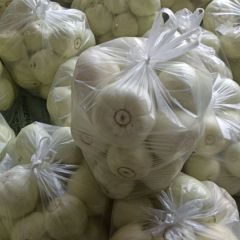 河南美浓大量上市中