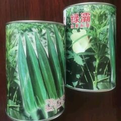 日本原装进口绿霸水果秋葵种子