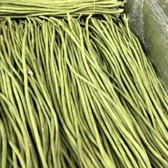 中牟韩寺镇李奇6月供应豆角产地直供