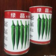进口绿晶水果秋葵种子果色浓绿,色泽油亮不易黄尾