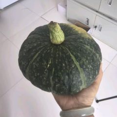 内蒙古察右中旗南瓜 今年价格有看点