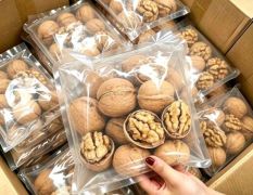 青皮核桃 薄皮核桃纸皮核桃干核桃