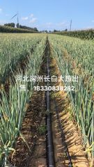 https://lgpic.com/litimg/202609/1/272814_qq8INE_s.jpeg