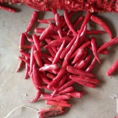 金乡辣椒价格波动不大