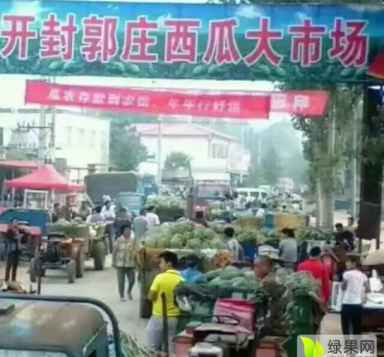 2016年河南开封无籽花瓜价格