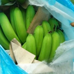 2015扶绥香蕉再不来就没机会了！