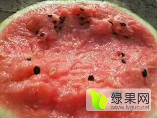 京欣价格