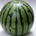 大量供应保定清苑西瓜