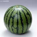 湖北钟祥西瓜