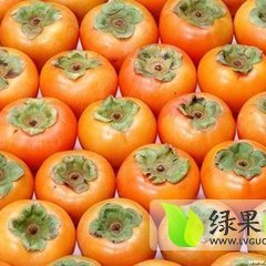 陕西日本甜柿子贡柿皮薄肉细 味甘而悠长