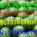 吉林西瓜