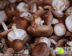 硬质香菇，具有肉厚，口感好，菇柄短而干净