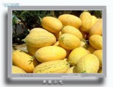  新疆库尔勒供应大量优质香梨
