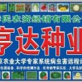 吉林省公主岭市怀德镇，双城堡镇花皮圆地雷