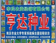 吉林省公主岭