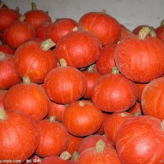 山东青州秋季红栗南瓜大量上市！