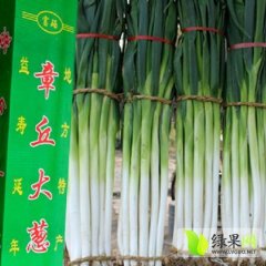 章丘宁家埠镇大葱批发市场 走货量的大