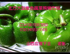 山西应县大量供应青椒、尖椒、牛角椒