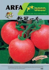 优质巨粉宝石-西红柿种子