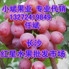 长沙红星水果市场葡萄专业代销