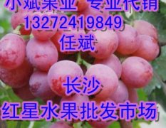 长沙红星水果市场葡萄专业代销