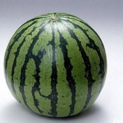 黑龙江佳木斯大量西瓜上市