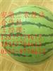 优质砀山西瓜甜瓜大量上市17760804613