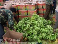 优质香蕉、西瓜大量供应