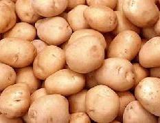 供应陕西土豆