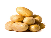 出售大量土豆：紫花白  荷兰土豆