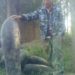 河南通许万亩冬瓜大量成熟上市