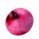 大量出售红皮保鲜洋葱（聊城大张洋葱）