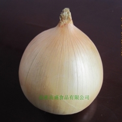 出口洋葱（带皮，剥皮，真空）