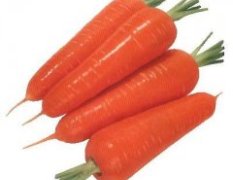 内蒙古常年大量供应大量胡萝卜