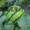 陕西西瓜基地/西瓜价格/西瓜产地