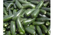 港椒（墨西哥椒）大量上市