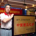 4月/江苏东台/黄瓤西瓜特小凤、小兰