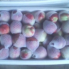 陕西代办各种大棚或露地时鲜水果