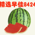 5月1日/江苏扬州专营8424西瓜，质量从优！